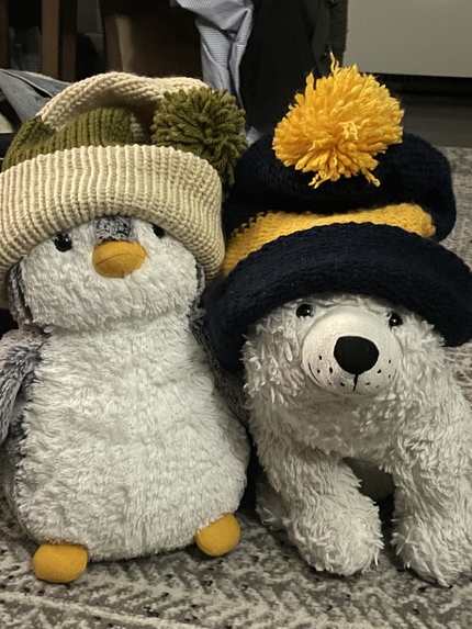 Pom Pom – screenshot 1