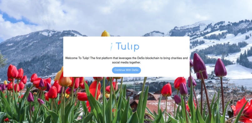 Tulip – screenshot 1