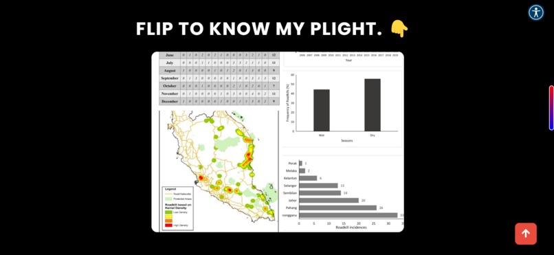 STRI - Stop Tapir Roadkill Initiative (Website) – screenshot 9