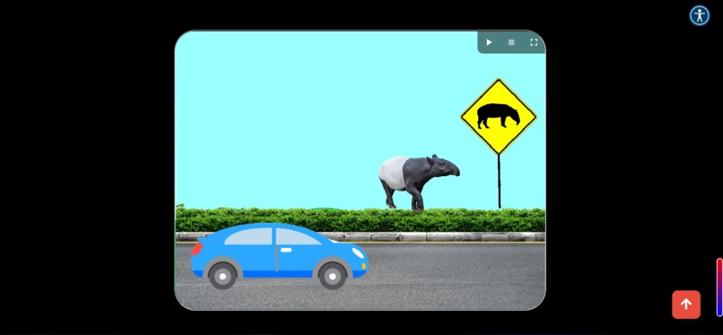STRI - Stop Tapir Roadkill Initiative (Website) – screenshot 11