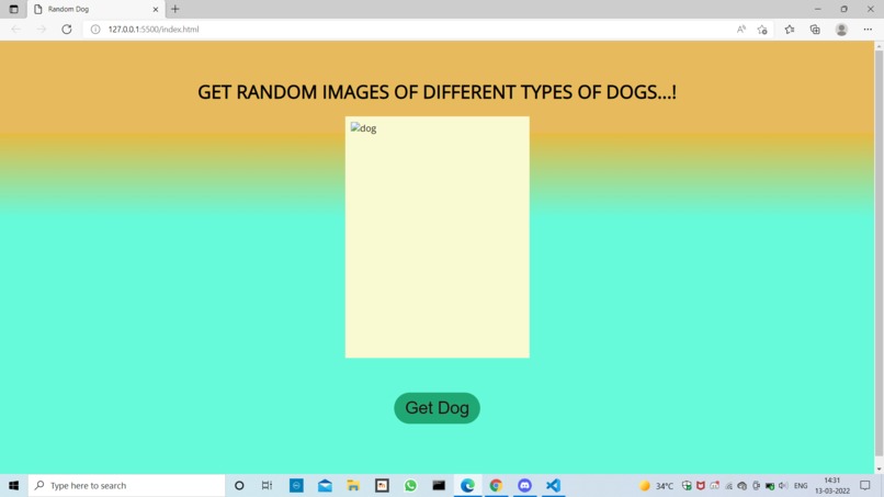 Random_Dog – screenshot 1