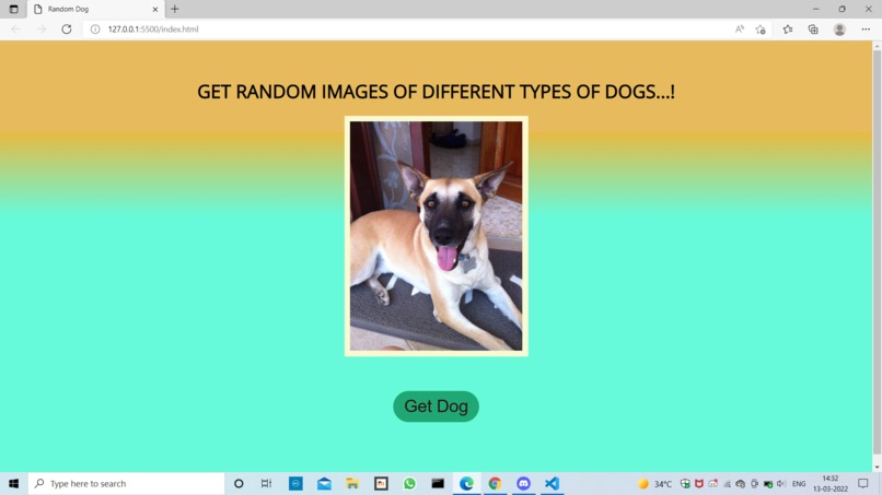 Random_Dog – screenshot 2