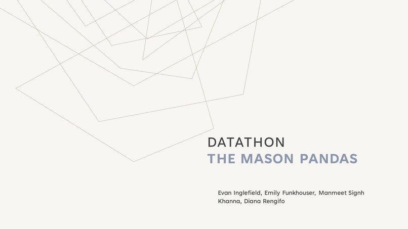 DATATHON​: THE MASON PANDAS​ – screenshot 1
