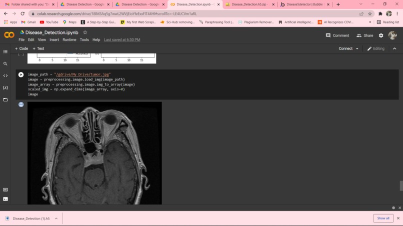 DiseaseDetector – screenshot 3