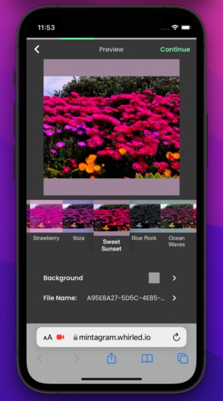 Mintagram – screenshot 11