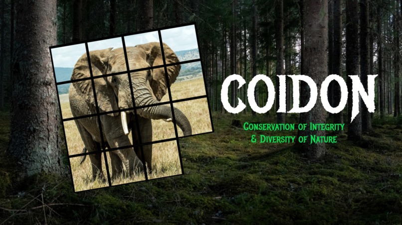 COIDON Puzzle – screenshot 1