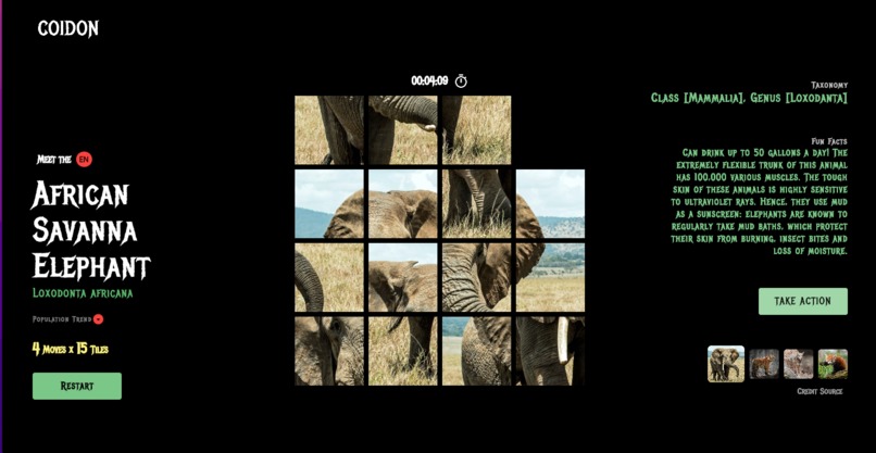COIDON Puzzle – screenshot 2