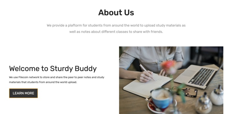 Sturdy Buddy – screenshot 10