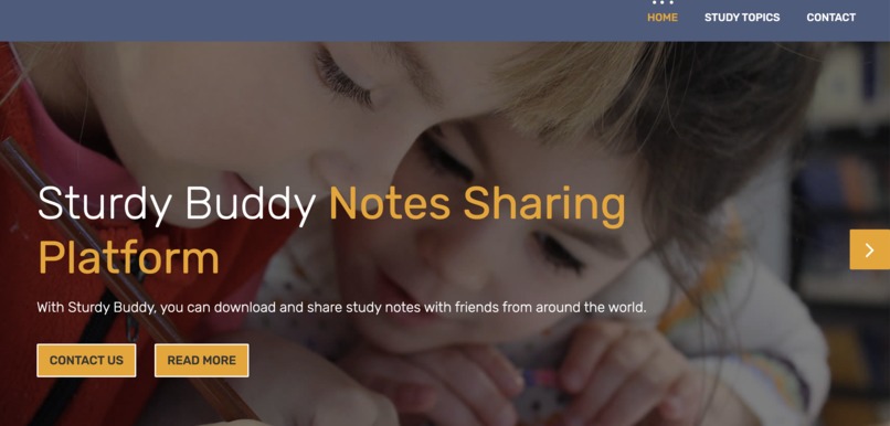 Sturdy Buddy – screenshot 8