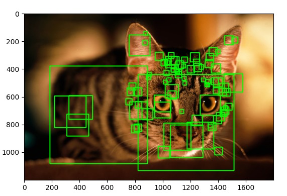 AnimalDefine – screenshot 2