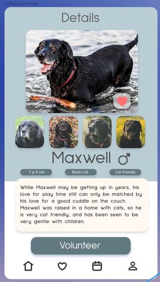 Endless Pawsibilities – screenshot 6