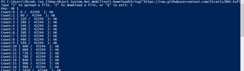 DNS Exfil – screenshot 3