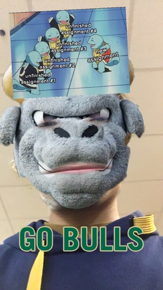 Snapchat AR GO BULLS – screenshot 1