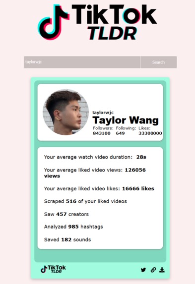 TikTokTLDR – screenshot 4