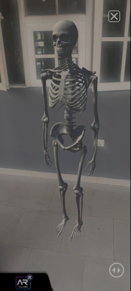 ARClass Biology-v1 – screenshot 2