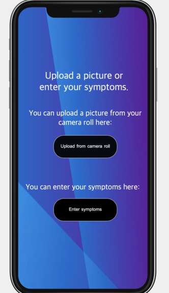 Dermassist – screenshot 1