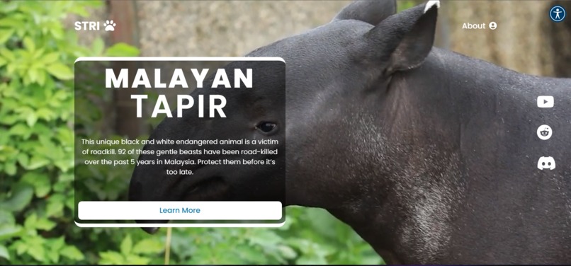 Stop Tapir Roadkill Initiative (STRI)  – screenshot 13