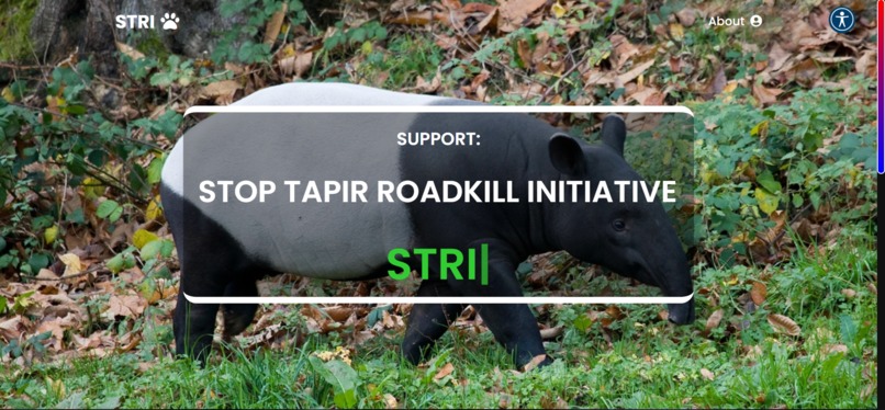 Stop Tapir Roadkill Initiative (STRI)  – screenshot 17