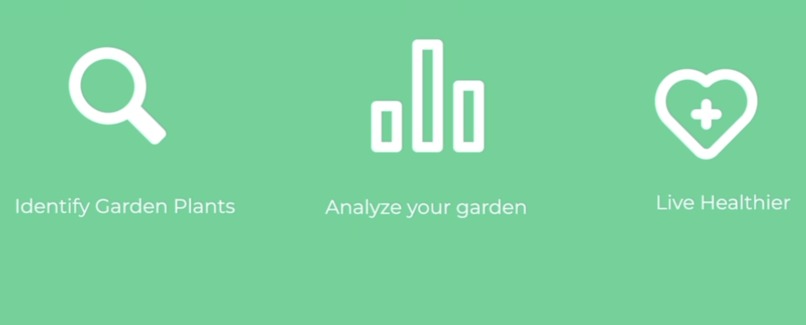 Better Gardens – screenshot 2