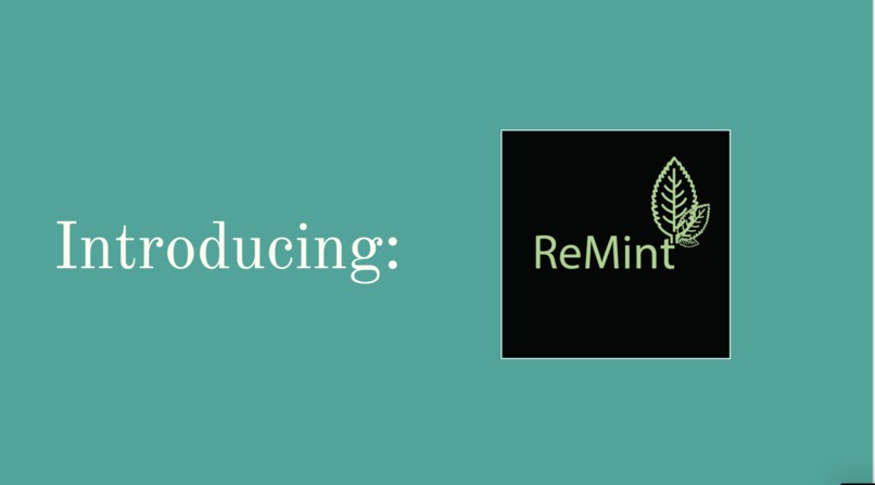 ReMint – screenshot 6