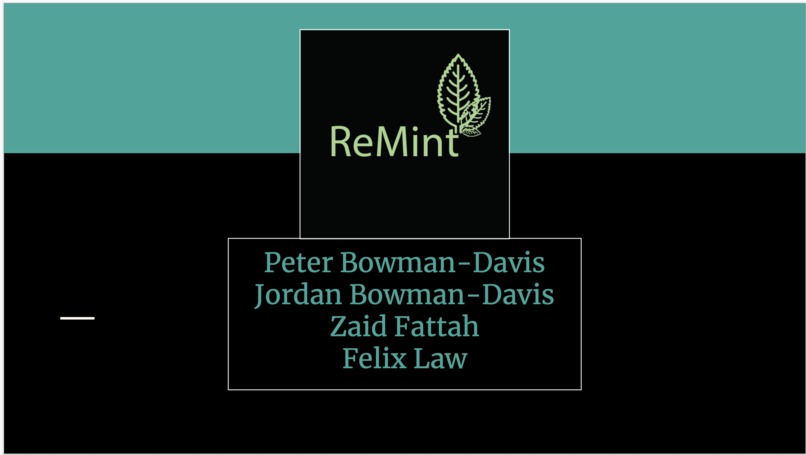 ReMint – screenshot 1