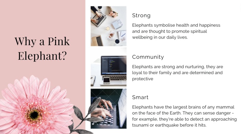 Pink Elephant  – screenshot 5