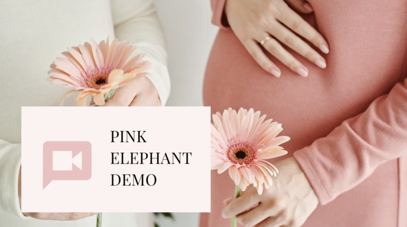 Pink Elephant  – screenshot 12