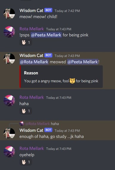 Wisdom Cat Bot – screenshot 1