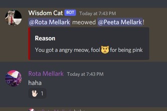 Wisdom Cat Bot