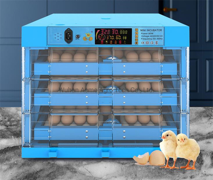 BRIGHT ACHIEVERS – screenshot 2