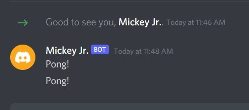Discord Bot - Mickey Jr. – screenshot 1