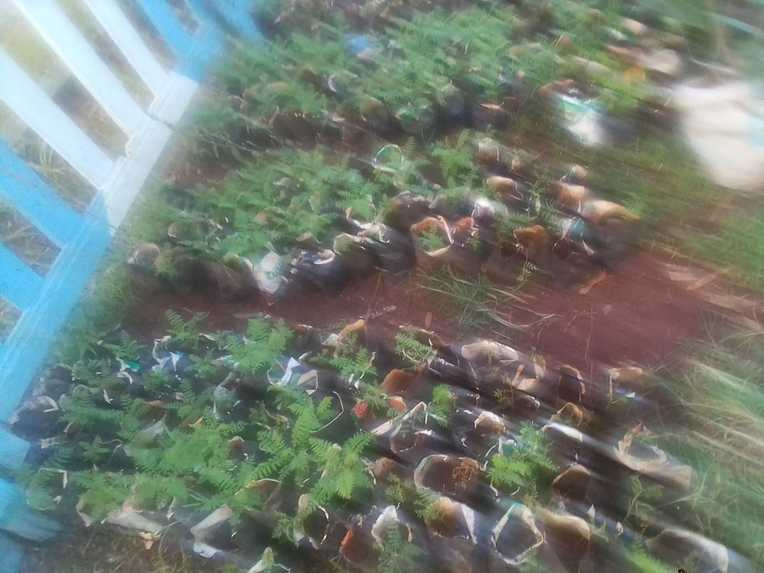 climate credit dao wallet – screenshot 4