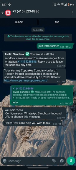 Twilio WhatsApp template – screenshot 1