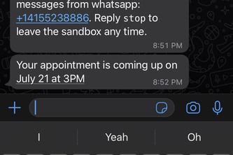 using twilio api to send message to self
