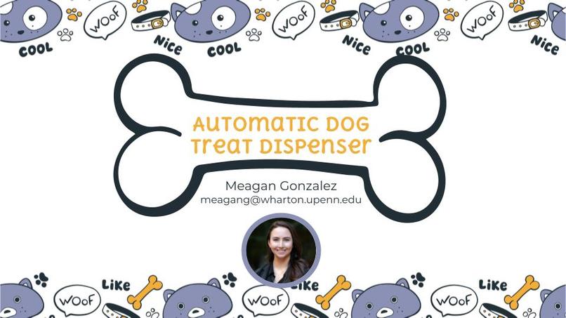 Automatic Dog Treat Dispenser – screenshot 1