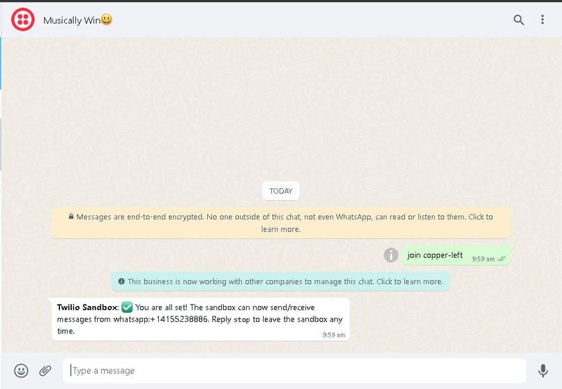 MSG Twiio – screenshot 1
