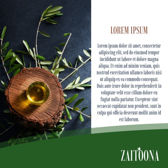 Zaitoona company – screenshot 3