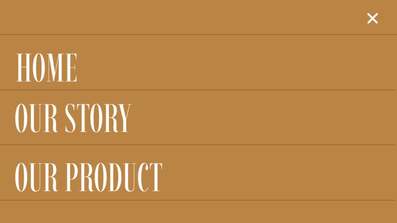 Zaitoona company – screenshot 4