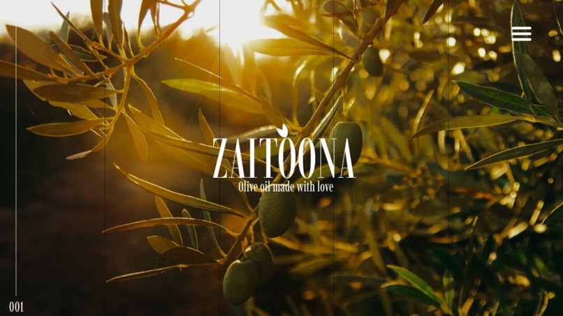 Zaitoona company – screenshot 7