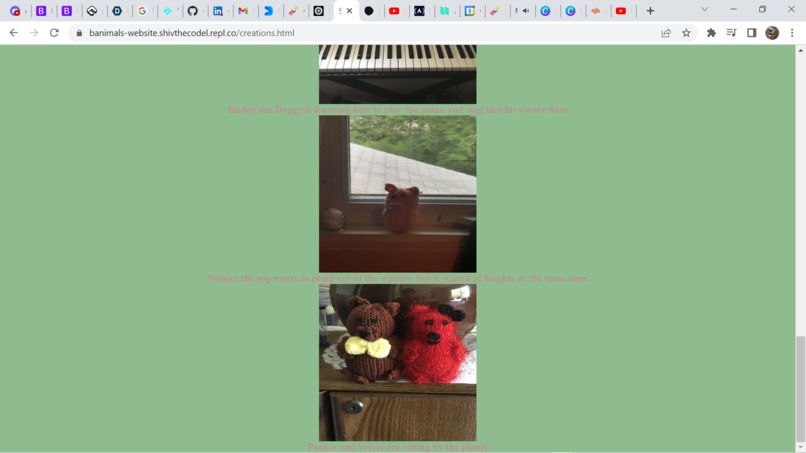 Banimals – screenshot 9