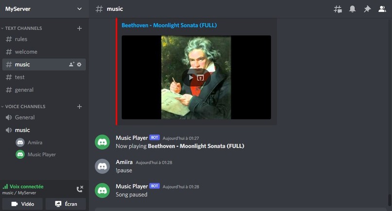 Discord Music Bot – screenshot 2