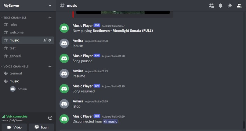 Discord Music Bot – screenshot 4