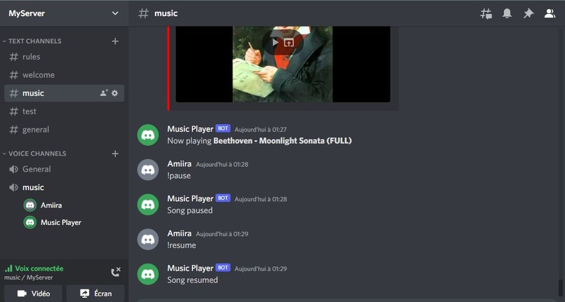 Discord Music Bot – screenshot 3