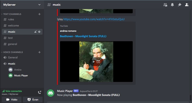 Discord Music Bot – screenshot 1