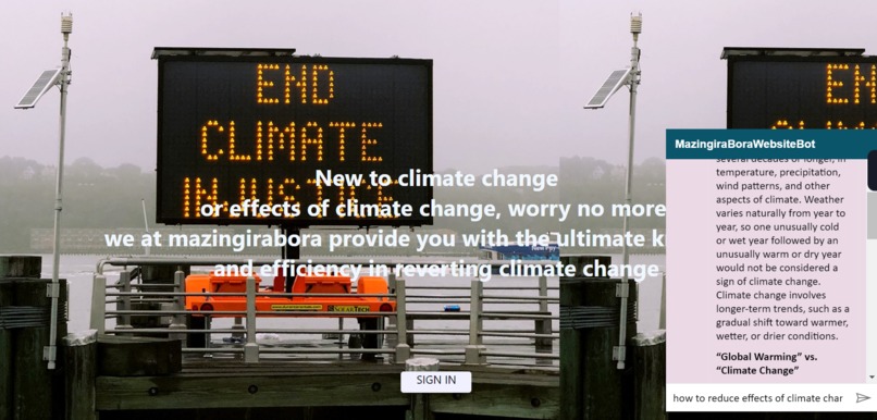 Team Simba : MazingiraBoraWebsite – screenshot 6