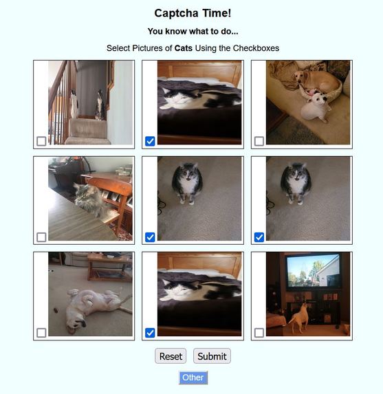 Spectacularly Terrible Captchas – screenshot 1