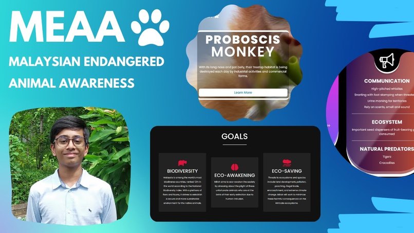 MEAA - Malaysian Endangered Animal Awareness  – screenshot 4