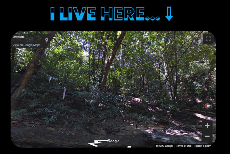MEAA - Malaysian Endangered Animal Awareness  – screenshot 9