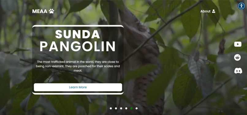 MEAA - Malaysian Endangered Animal Awareness  – screenshot 10