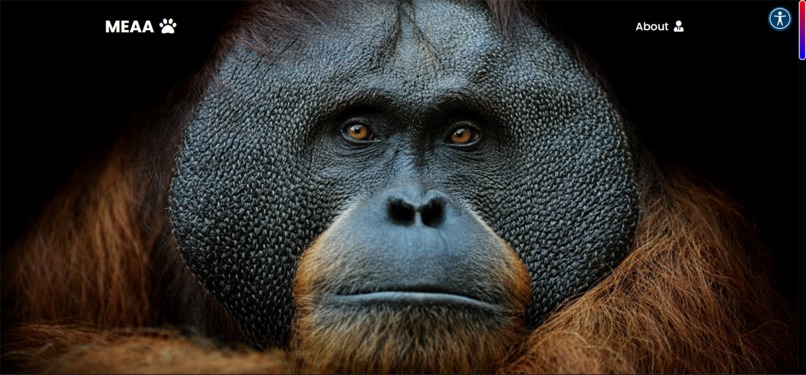 MEAA - Malaysian Endangered Animal Awareness  – screenshot 13